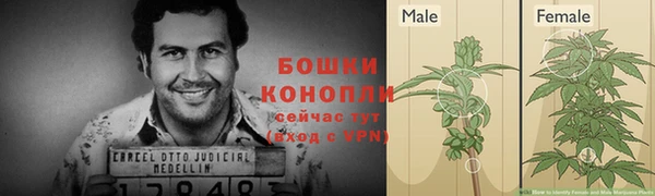 гашик Белокуриха