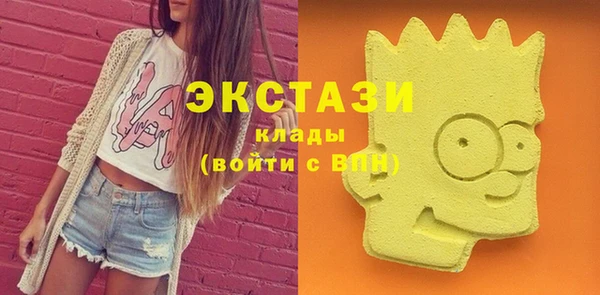 mdpv Богородицк